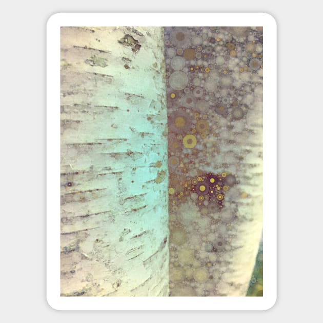 Autumn Birch Tree Abstract Sticker by oliviastclaire